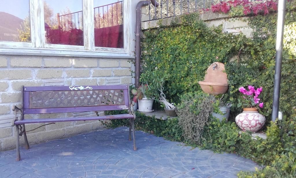 トレヴィニャーノ・ロマーノIl Poggio Degli Uliviアパートメント 部屋 写真